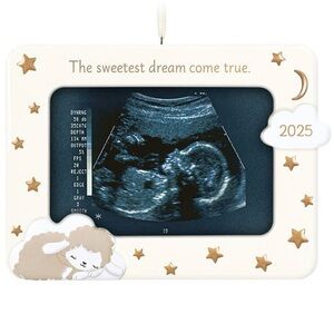 Hallmark Keepsake 2025 Sweetest Dream Come True Ornament Picture Frame Baby